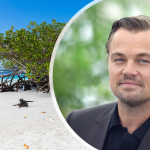 El Proyecto de restauración en las Islas Galápagos apoyado por Leonardo DiCaprio.