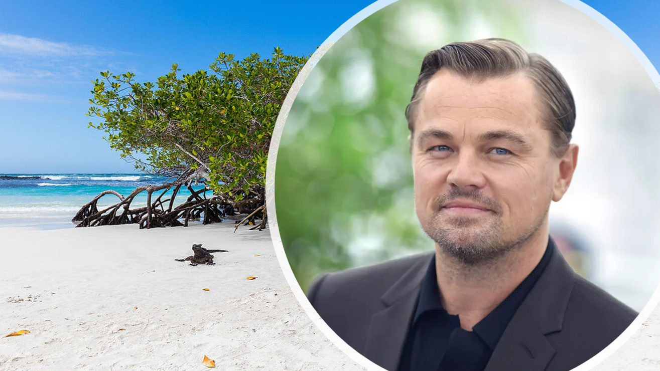 El Proyecto de restauración en las Islas Galápagos apoyado por Leonardo DiCaprio.