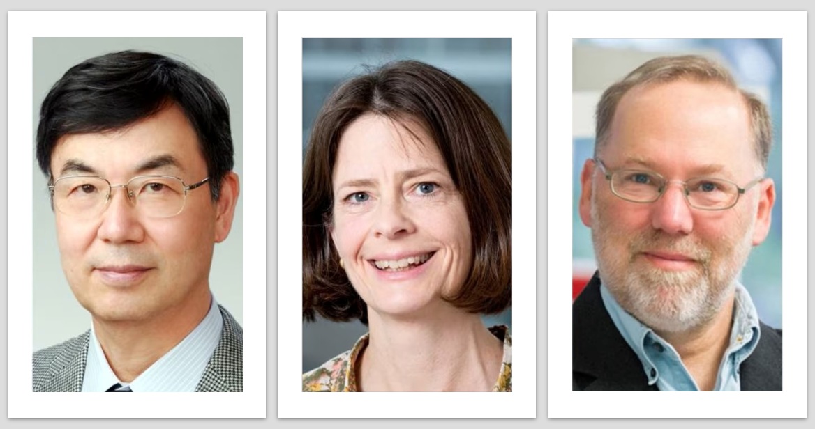Tres científicos reciben el Nobel de Medicina por revolucionar la comprensión del sistema inmunológico.